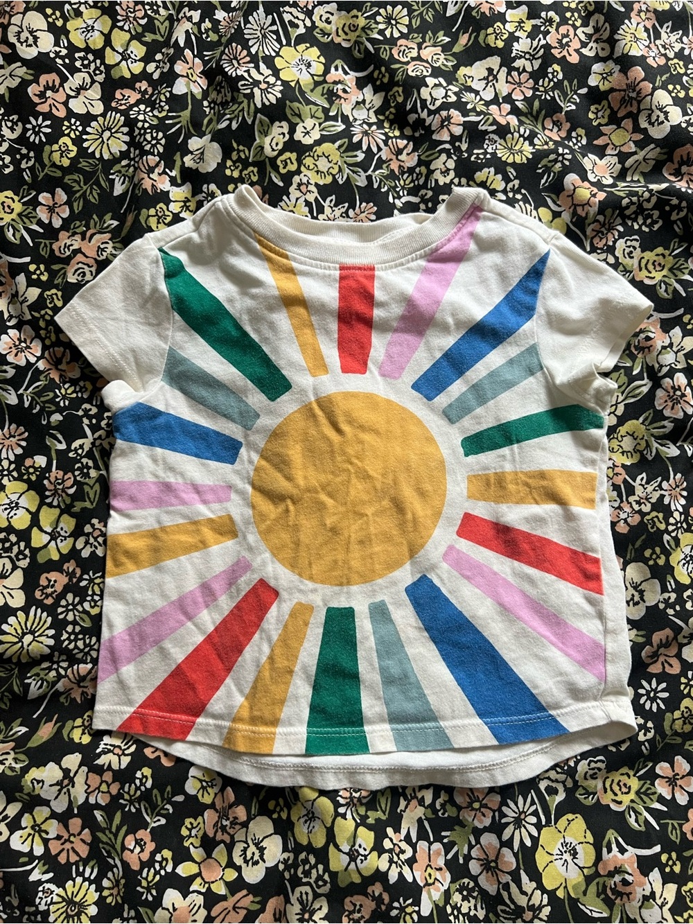 Hanna Anderson T-shirt